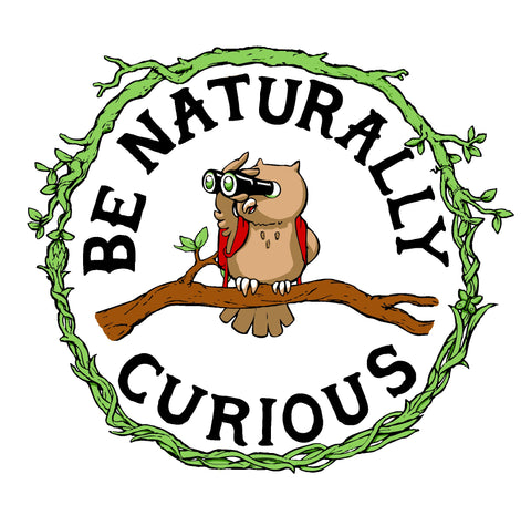 Be Naturally Curious