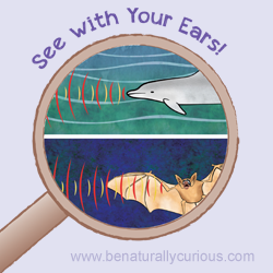 See With Your Ears!
