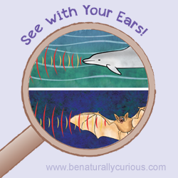 See With Your Ears Printables