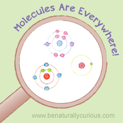 Molecules are Everywhere Printables