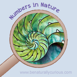 Numbers in Nature Printables