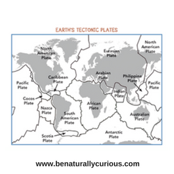 Plate Tectonics: The Changing Continents